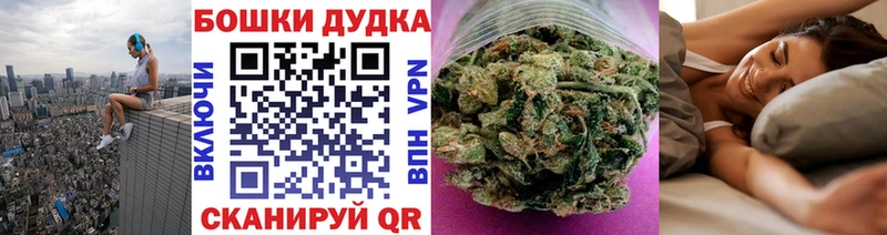 Виды наркотиков купить Кудрово Псилоцибиновые грибы ГАШ Cocaine Амфетамин